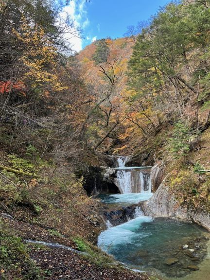 thumbnail_IMG_1987new